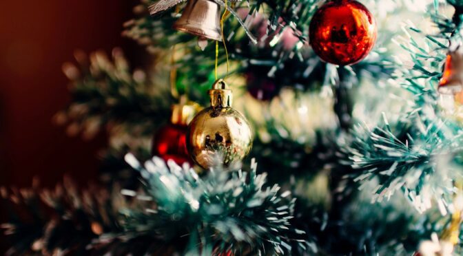 2022 Dayton You Cut Christmas Tree Christmas Trees Find A Second Life As Wildlife Habitat | Litter Media