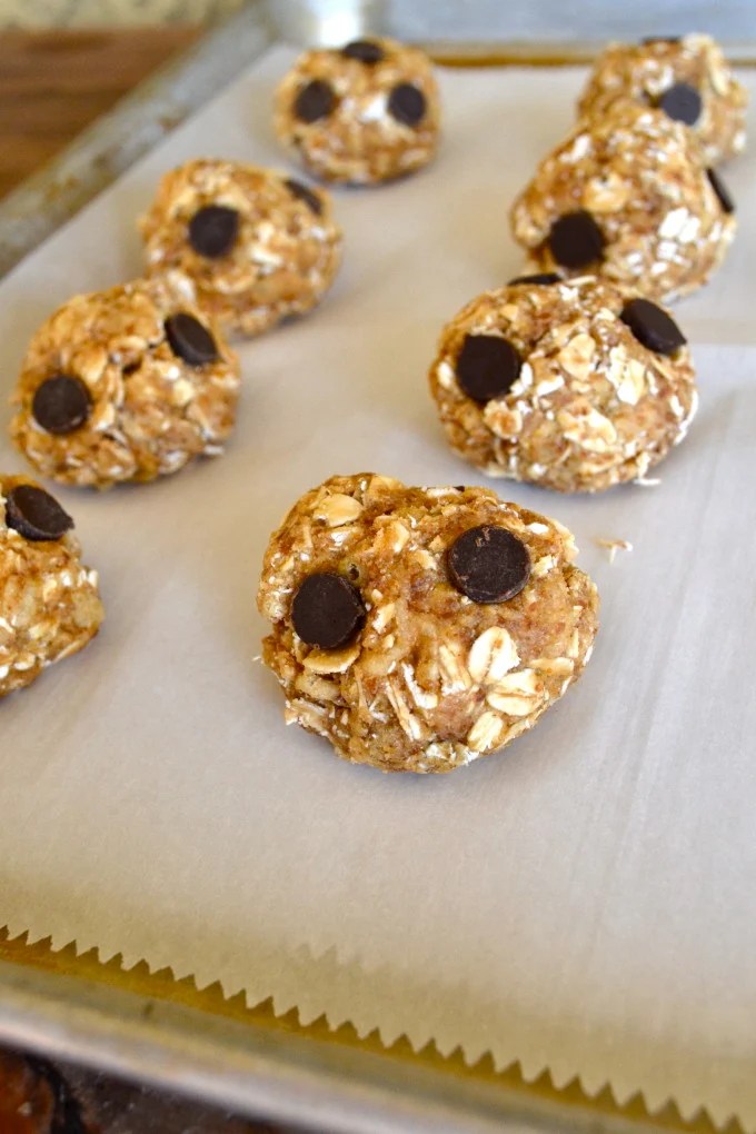 PB2 Protein Power Balls Little Bits of...