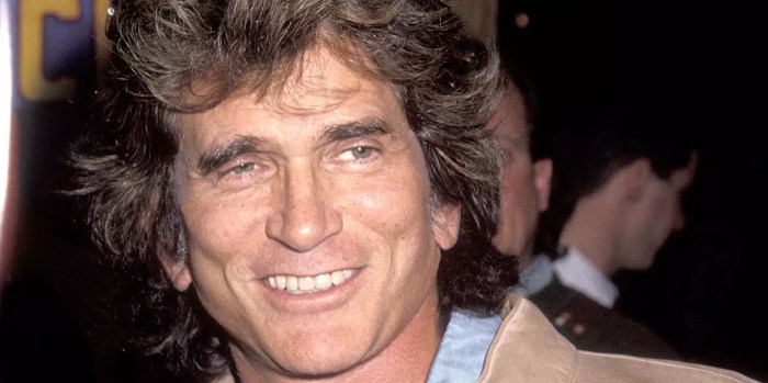 Michael Landon's Net Worth - Little Book For Brides Michael landestoy net worth