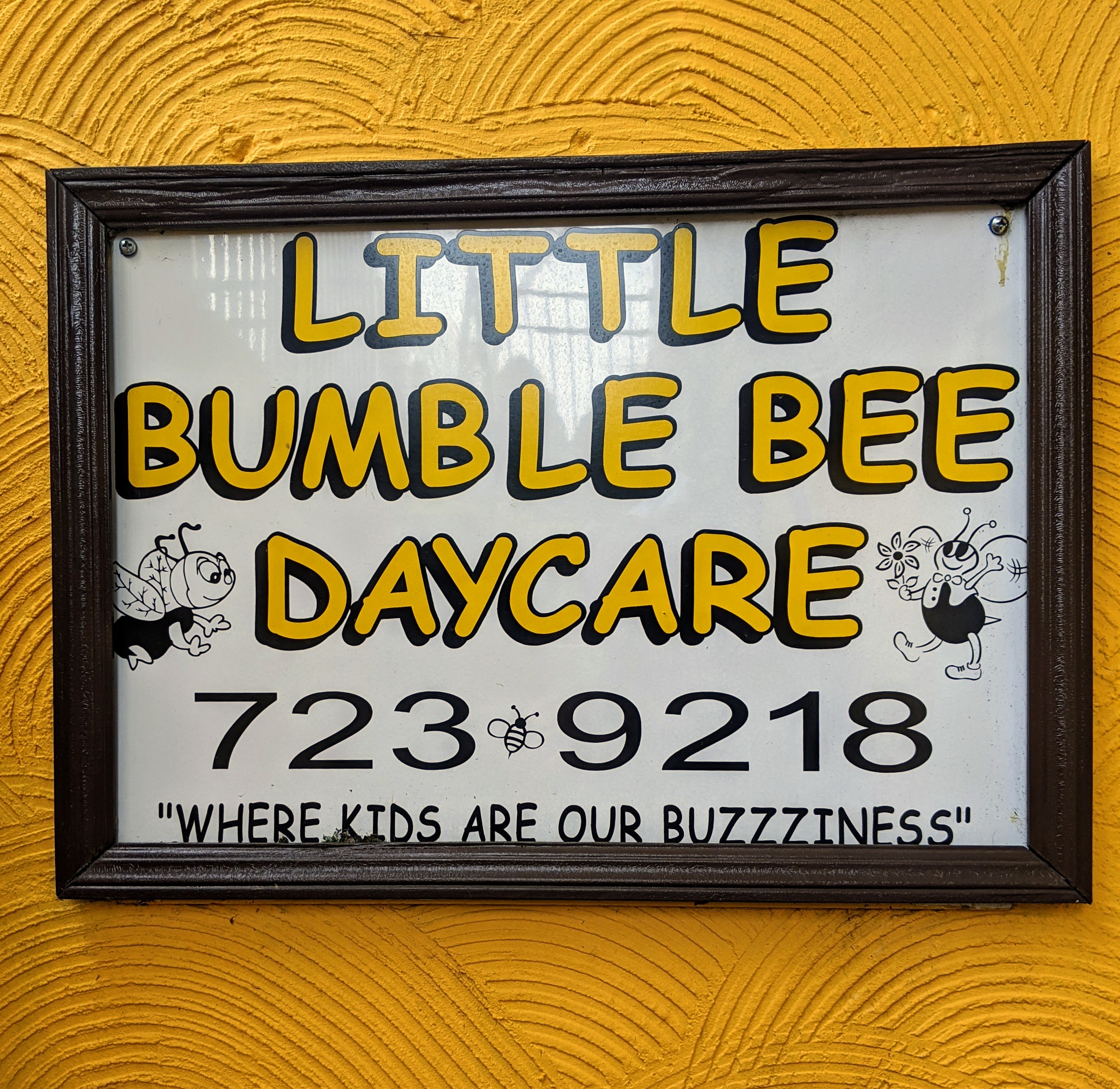 About Little Bumble Bee Daycare