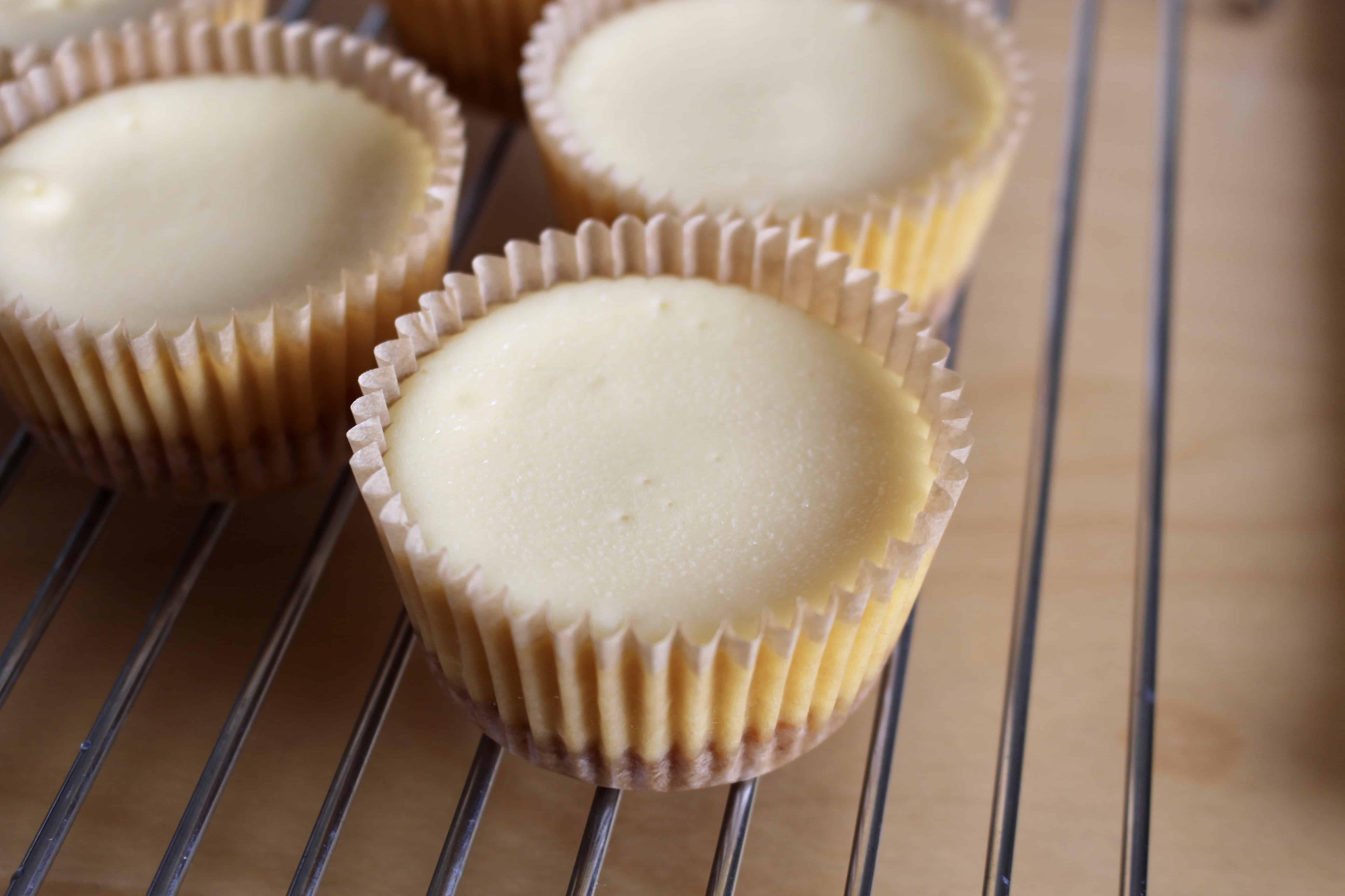 Individual cheesecakes ready to be topped with yuzu curd