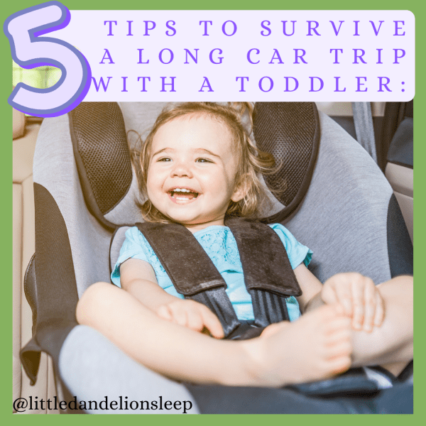 5 tips on surviving a long car ride with your toddler