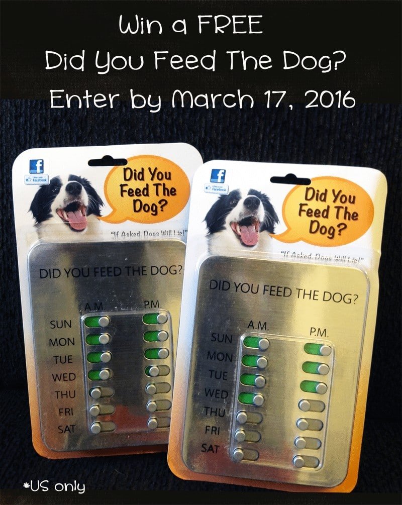 Pet Product Review/Giveaway The “Did You Feed The Dog?” Solution 🐾