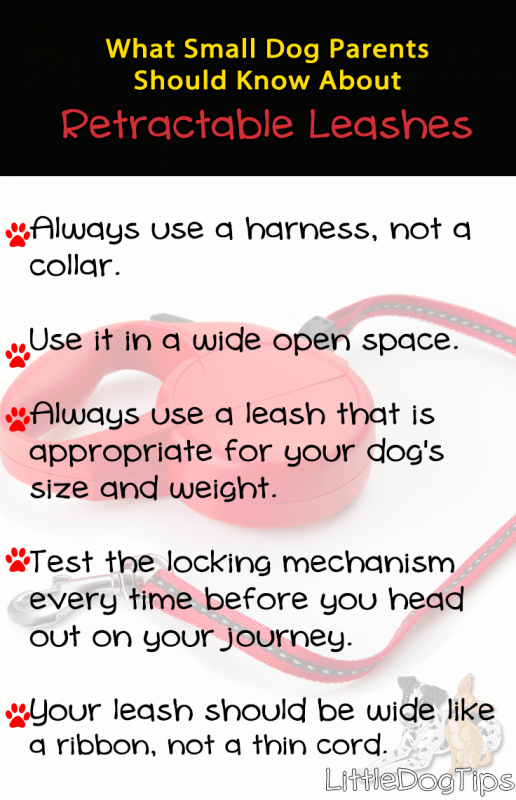 Are Retractable Leashes Dangerous? What Small Dog Parents