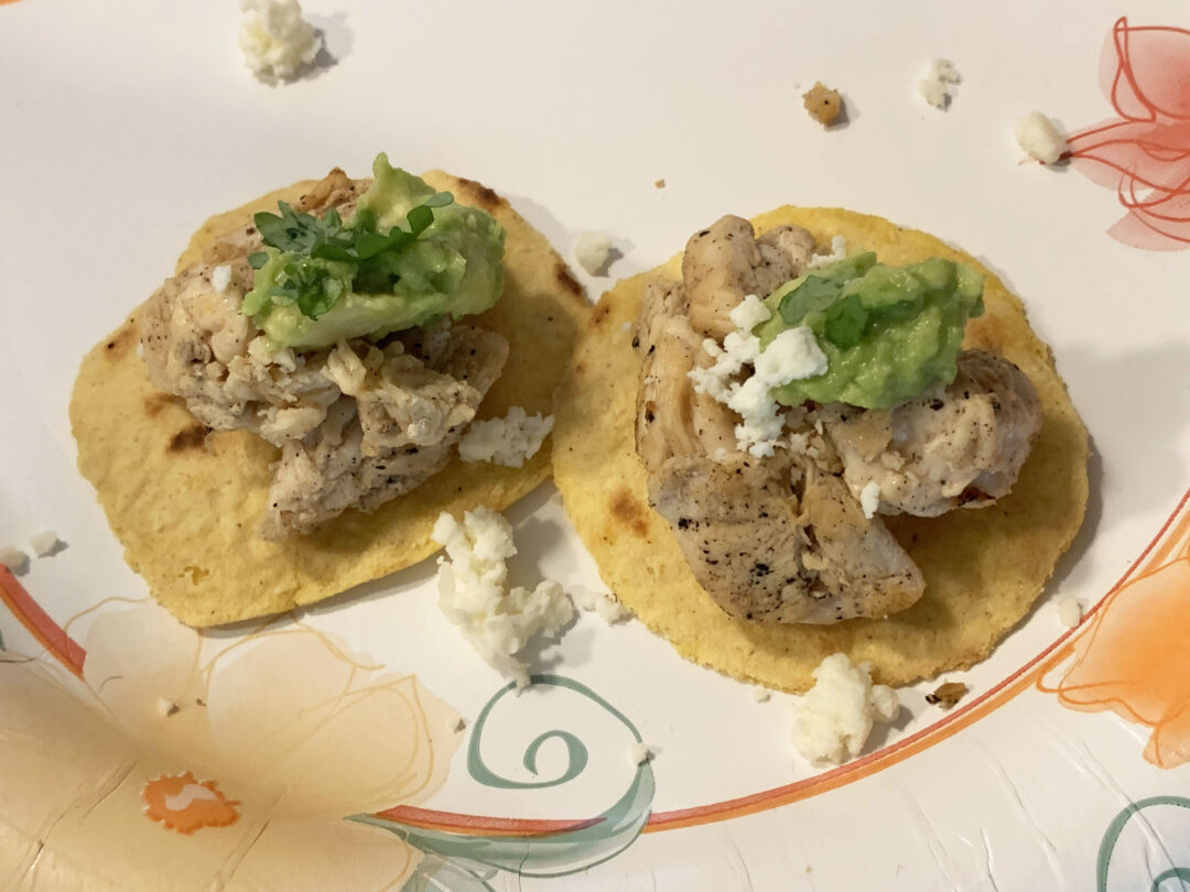 [Recipe] Easy Chicken Tacos For Dogs 🐾 Little Dog Tips