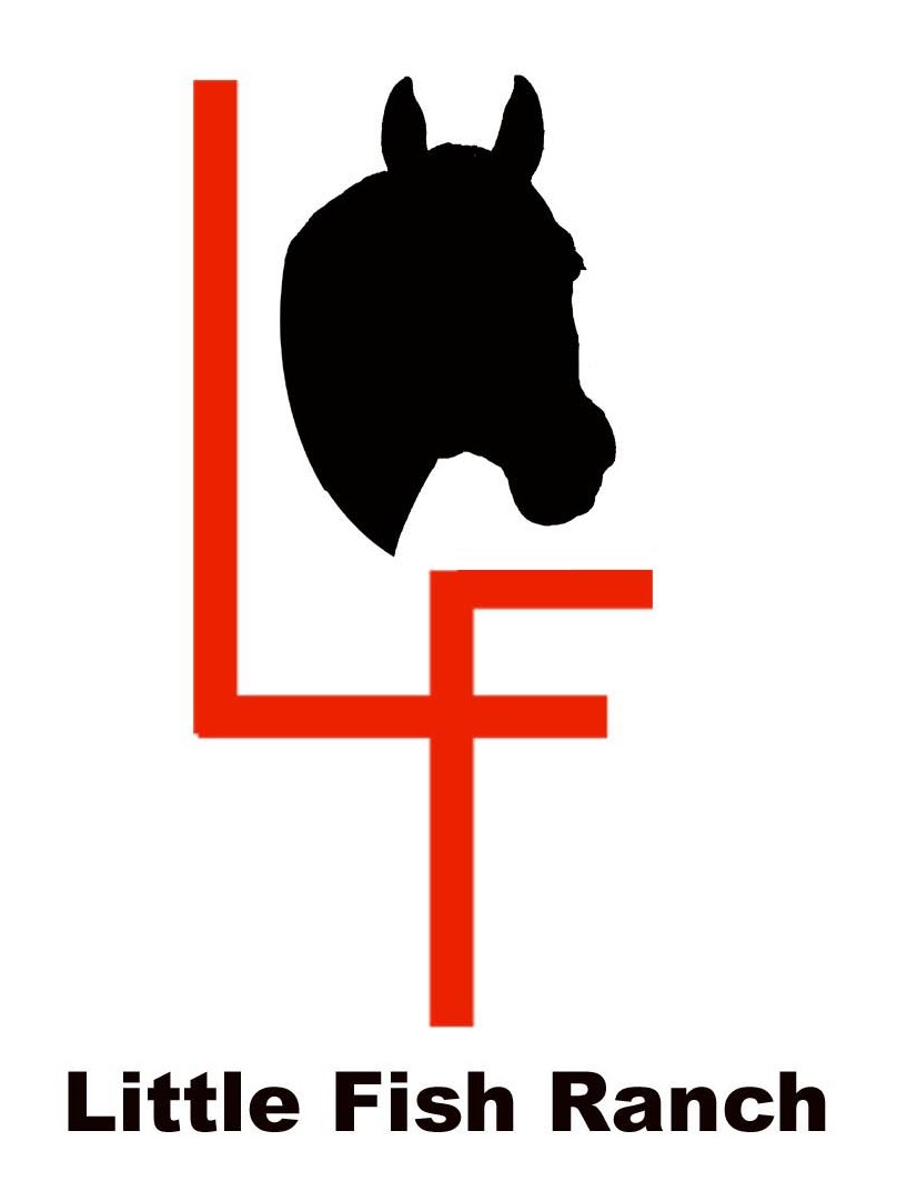 Little Fish Ranch Aubrey TX