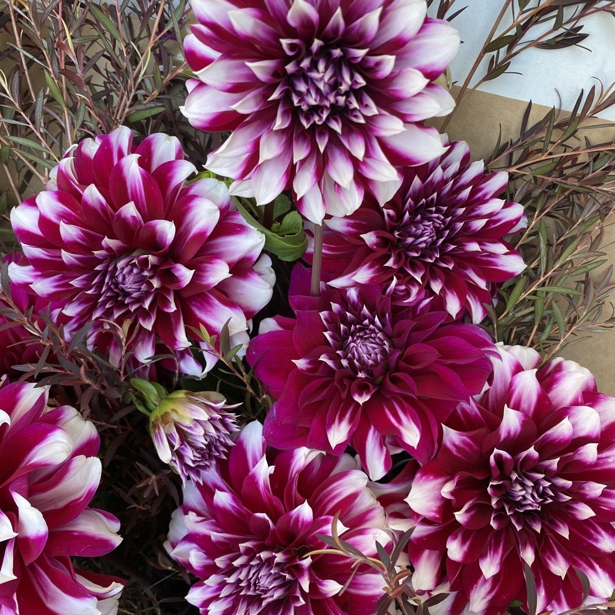 Little Flowers Online Flower Delivery Sydney