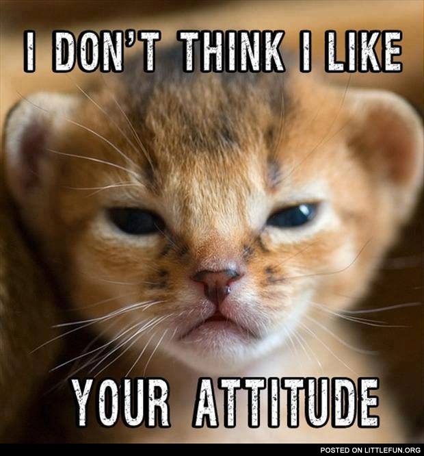 LittleFun I don't like your attitude