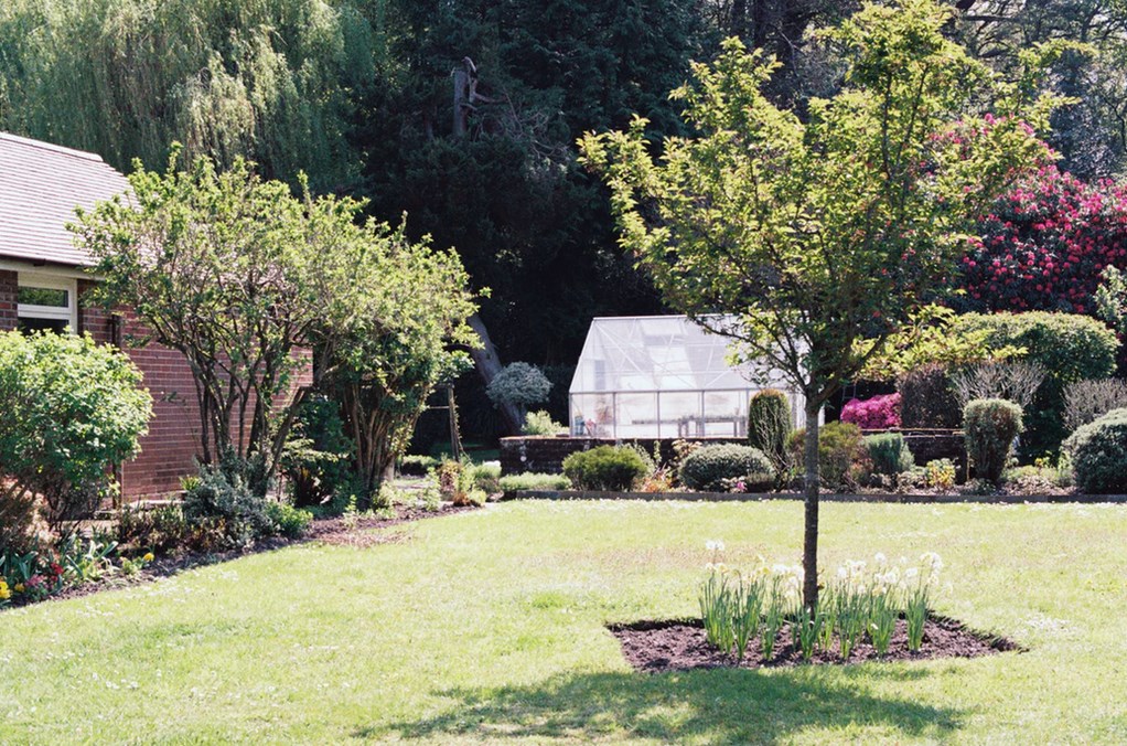 5 Things To Consider When Renovating Your Garden Little Green Blog