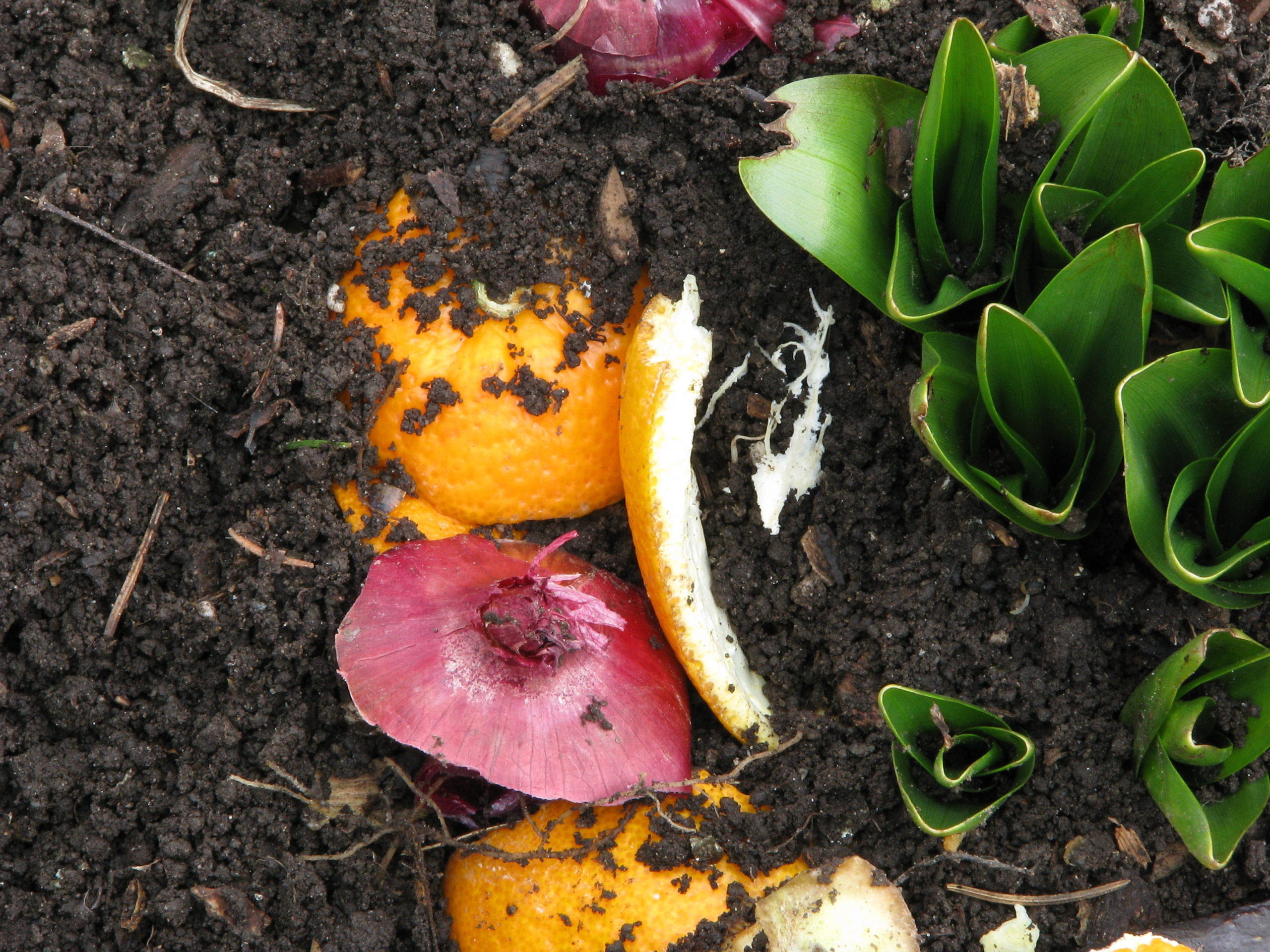 Compost ratios, demystified Little Green Bucket
