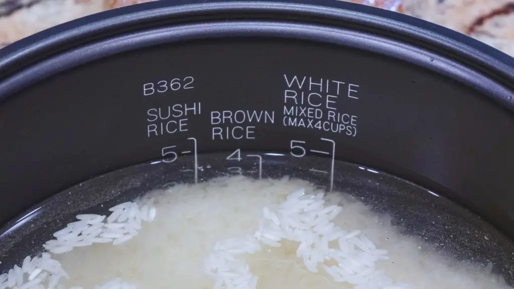 Is Rice Water Good For Plants? 🍚 Little Leafy