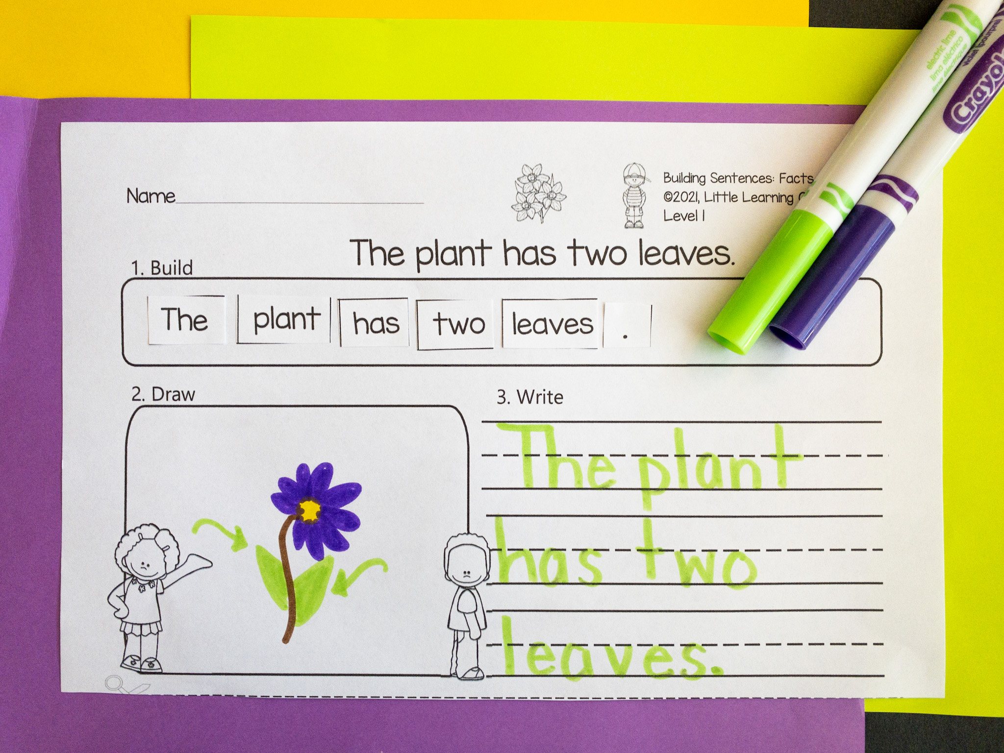 33 Fun Flower Facts for Kids Little Learning Corner