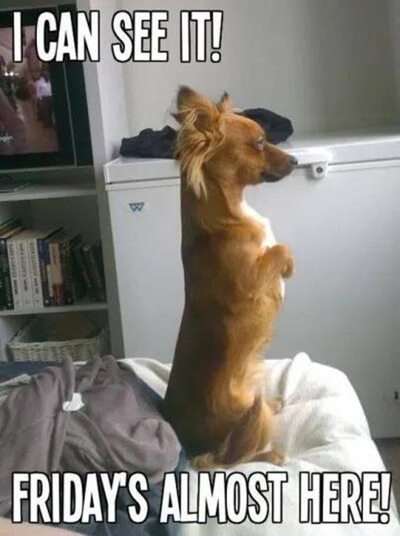 85 Hilarious Funny Thursday Memes Of All Time