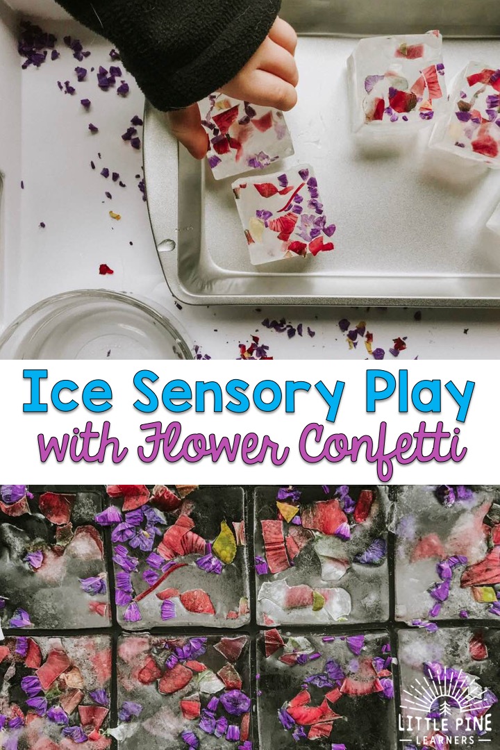 Ice Sensory Play with Flower Confetti • Little Pine Learners
