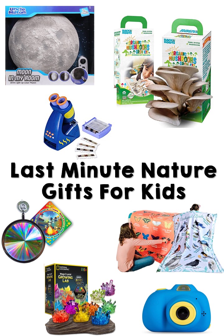 The Best Outdoor Gifts for Nature Loving Kids! • Little Pine Learners