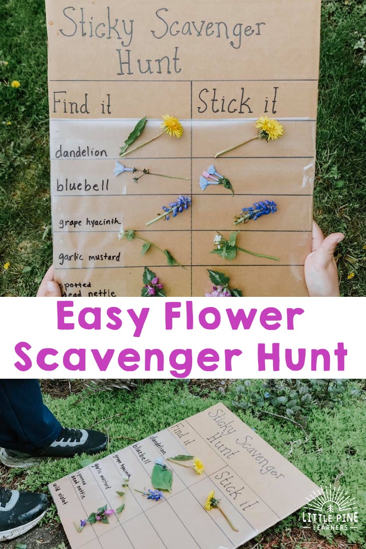 Sticky Scavenger Hunt • Little Pine Learners
