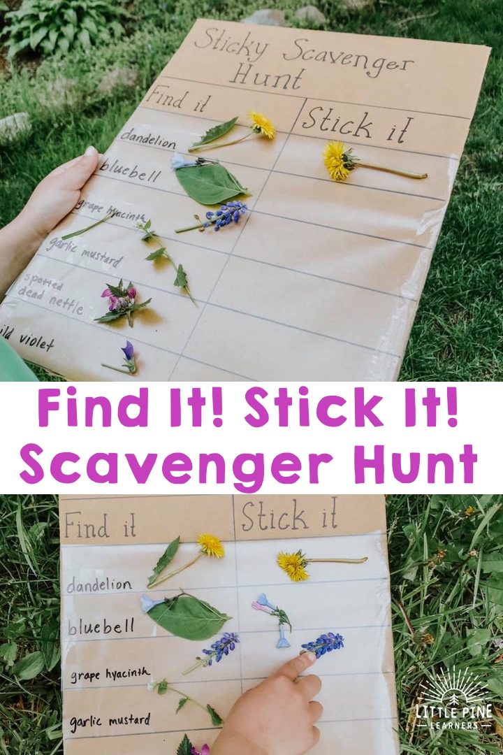 Sticky Scavenger Hunt • Little Pine Learners Sticky Scavenger Hunt • Little Pine Learners