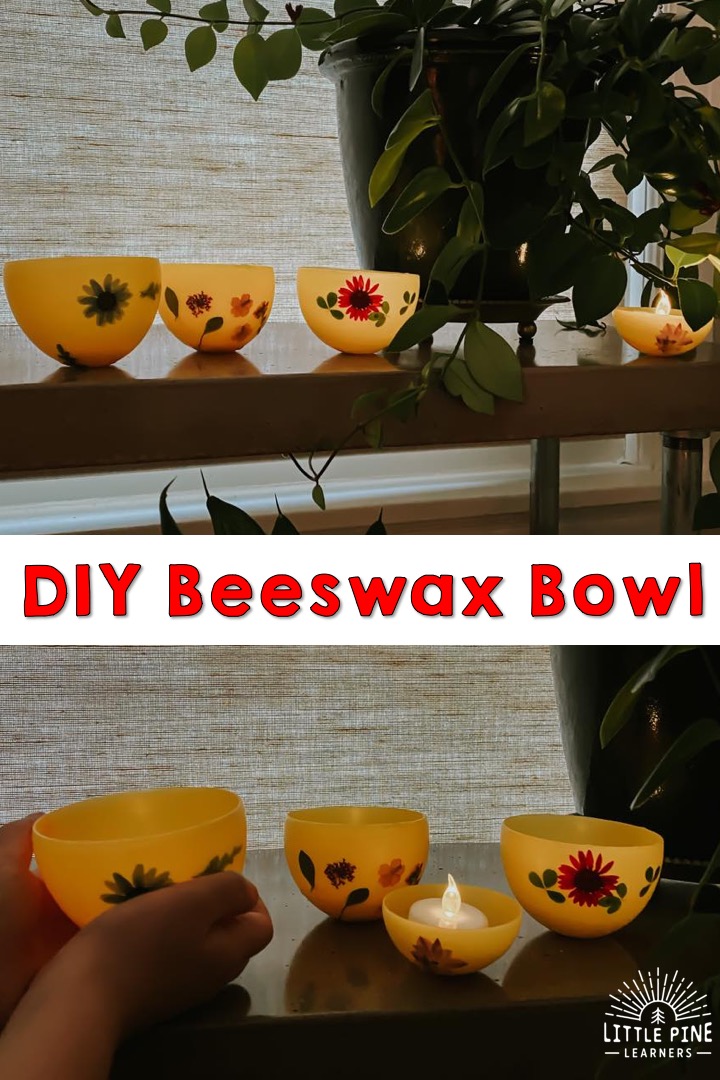 DIY Bowls Made of Beeswax • Little Pine Learners