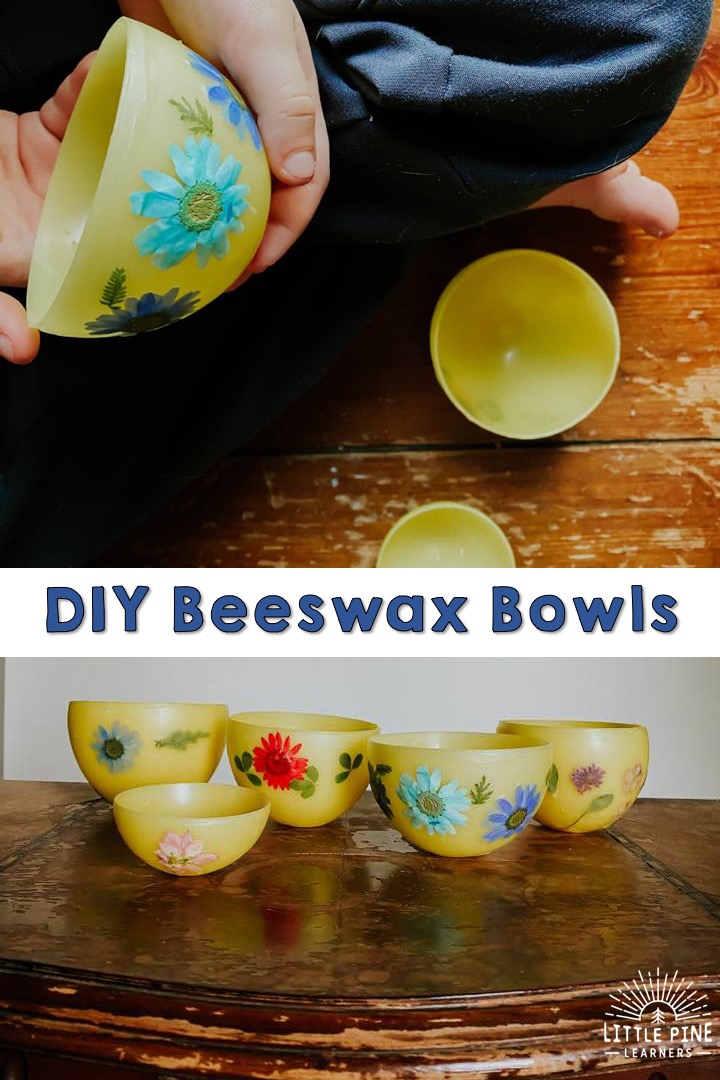 DIY Bowls Made of Beeswax • Little Pine Learners