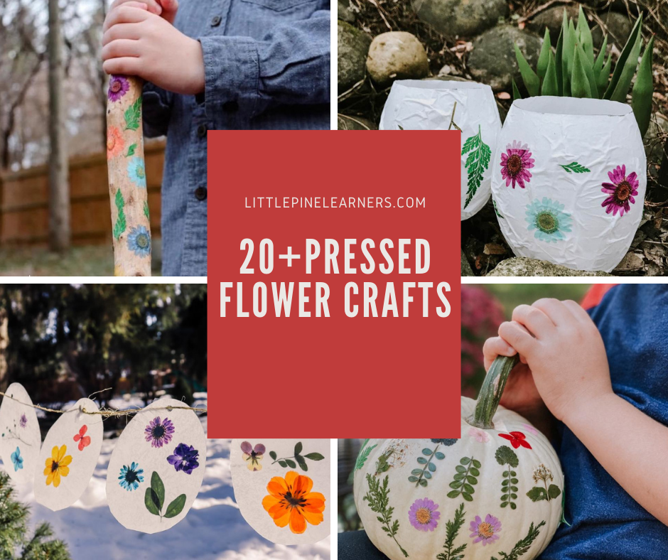 30+ Beautiful Pressed Flower Crafts • Little Pine Learners