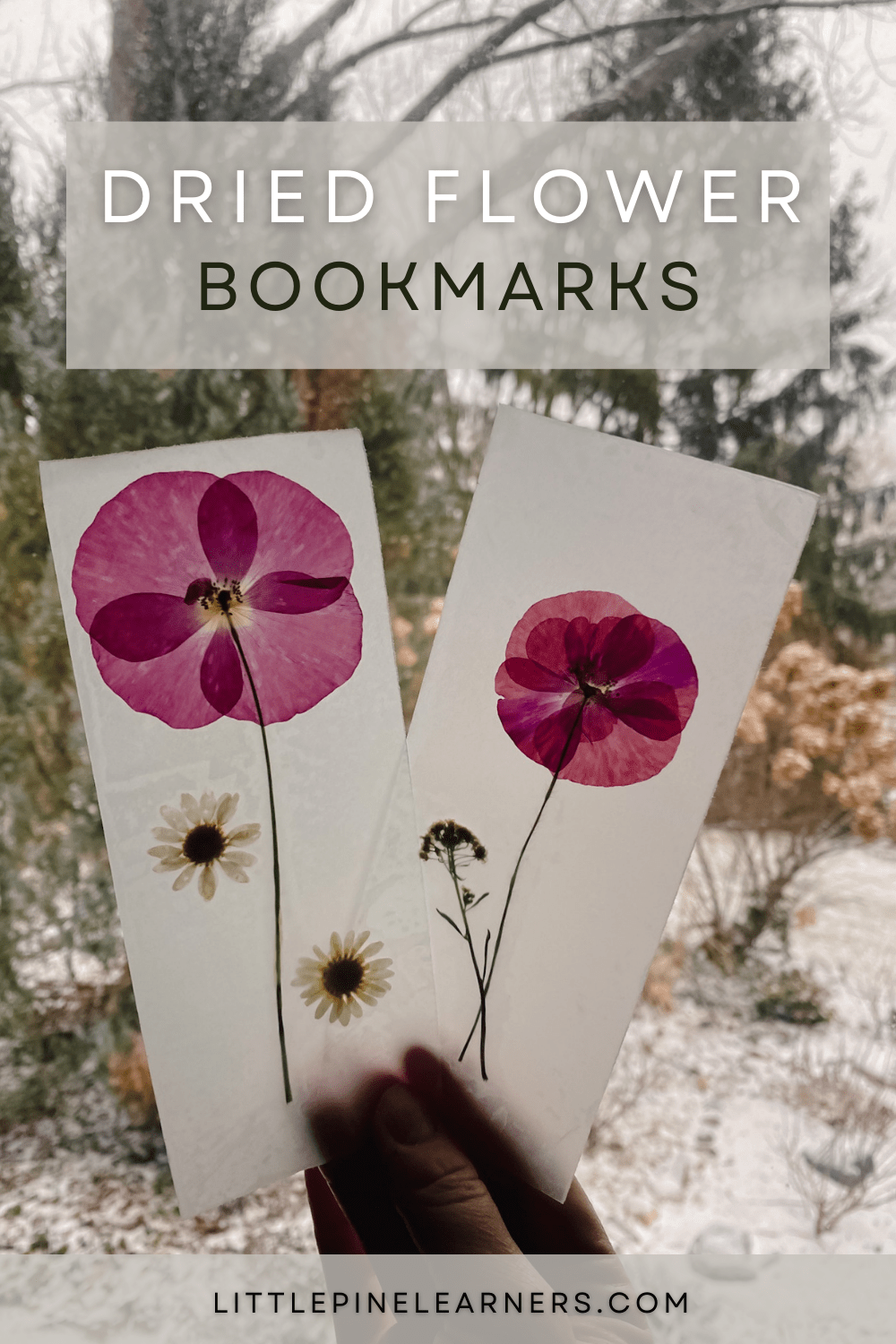 Pressed and Dried Flower Bookmarks • Little Pine Learners