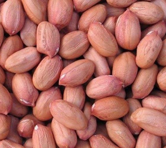 Raw Peanuts Organic Little Plant Pantry Online store