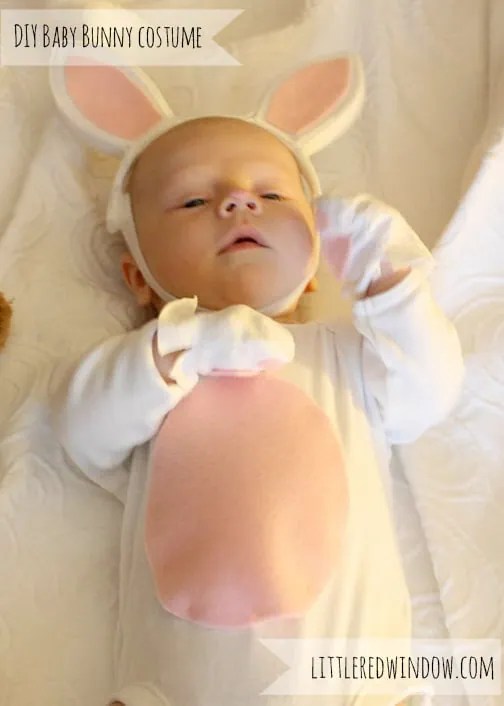 Newborn Baby Bunny Costume Little Red Window