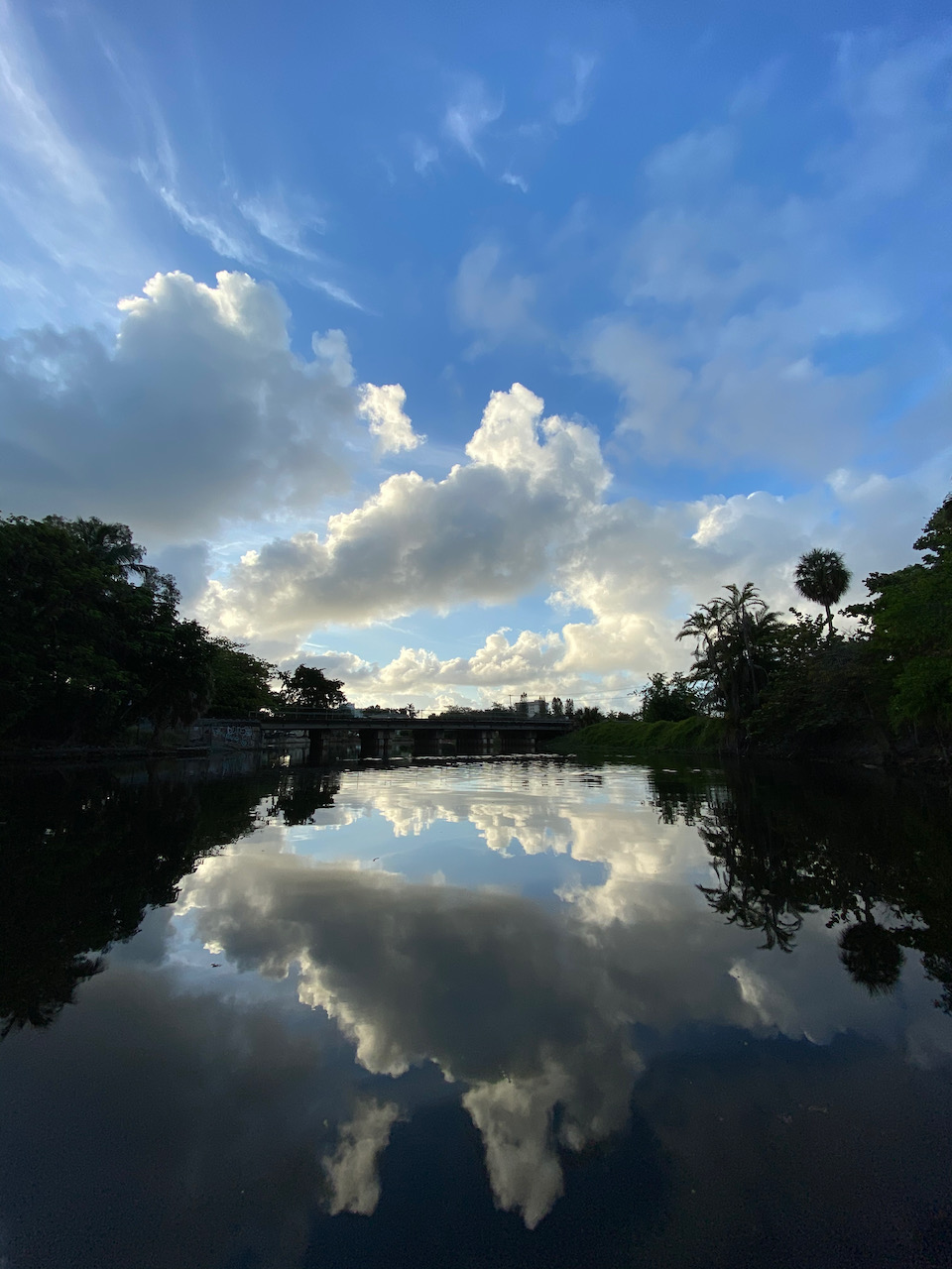 Current Events The Little River Conservancy