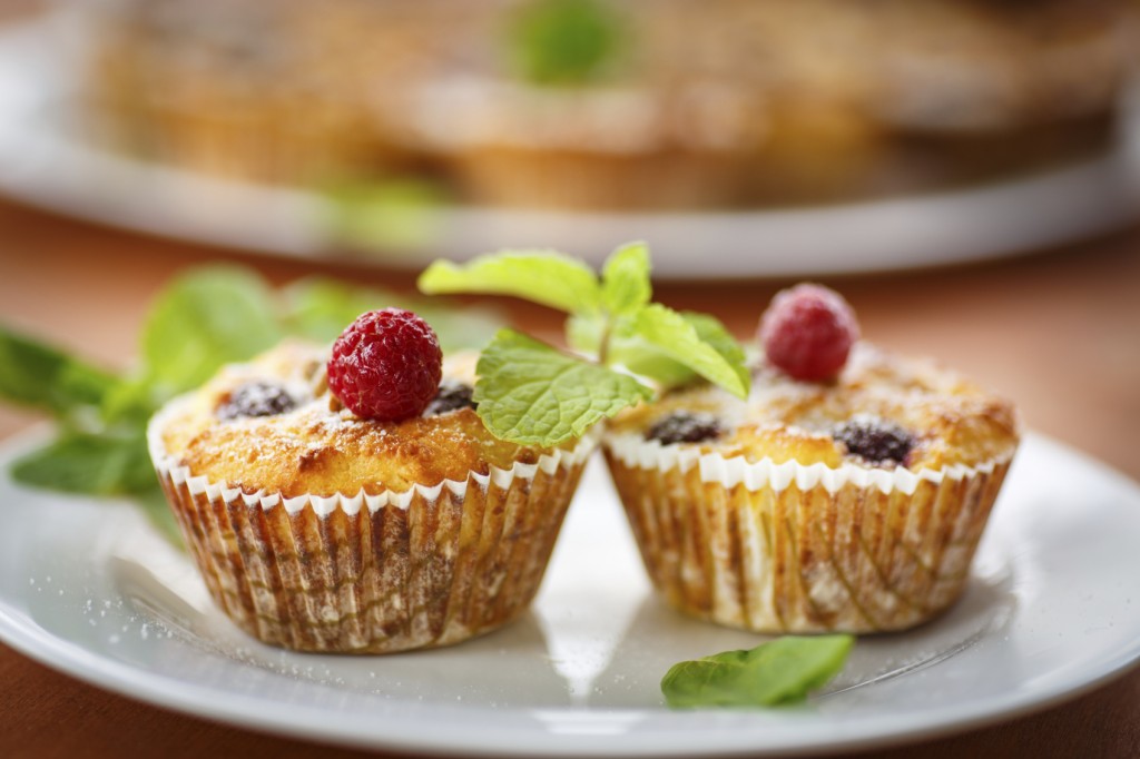 3 recipes with Jocca Cottage Cheese, the healthy complement to any meal LITTLEROCK