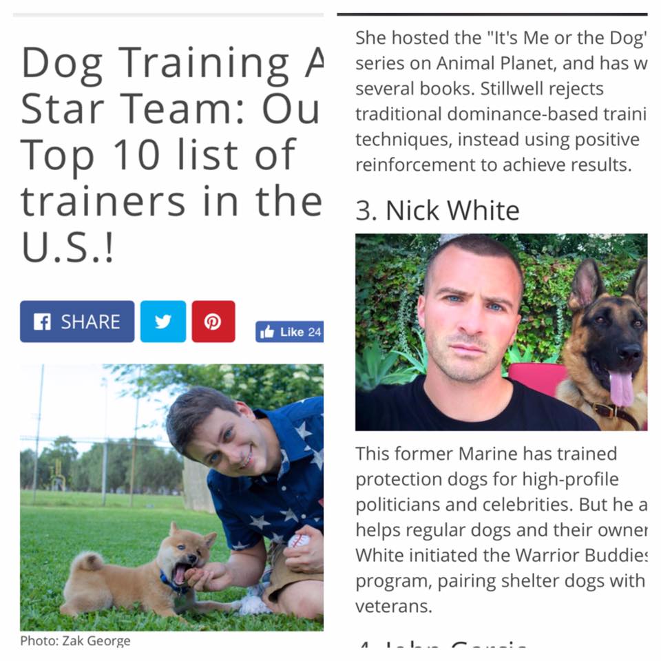 Dog Obedience Trainer Little Rock Arkansas Dog Training Little Rock
