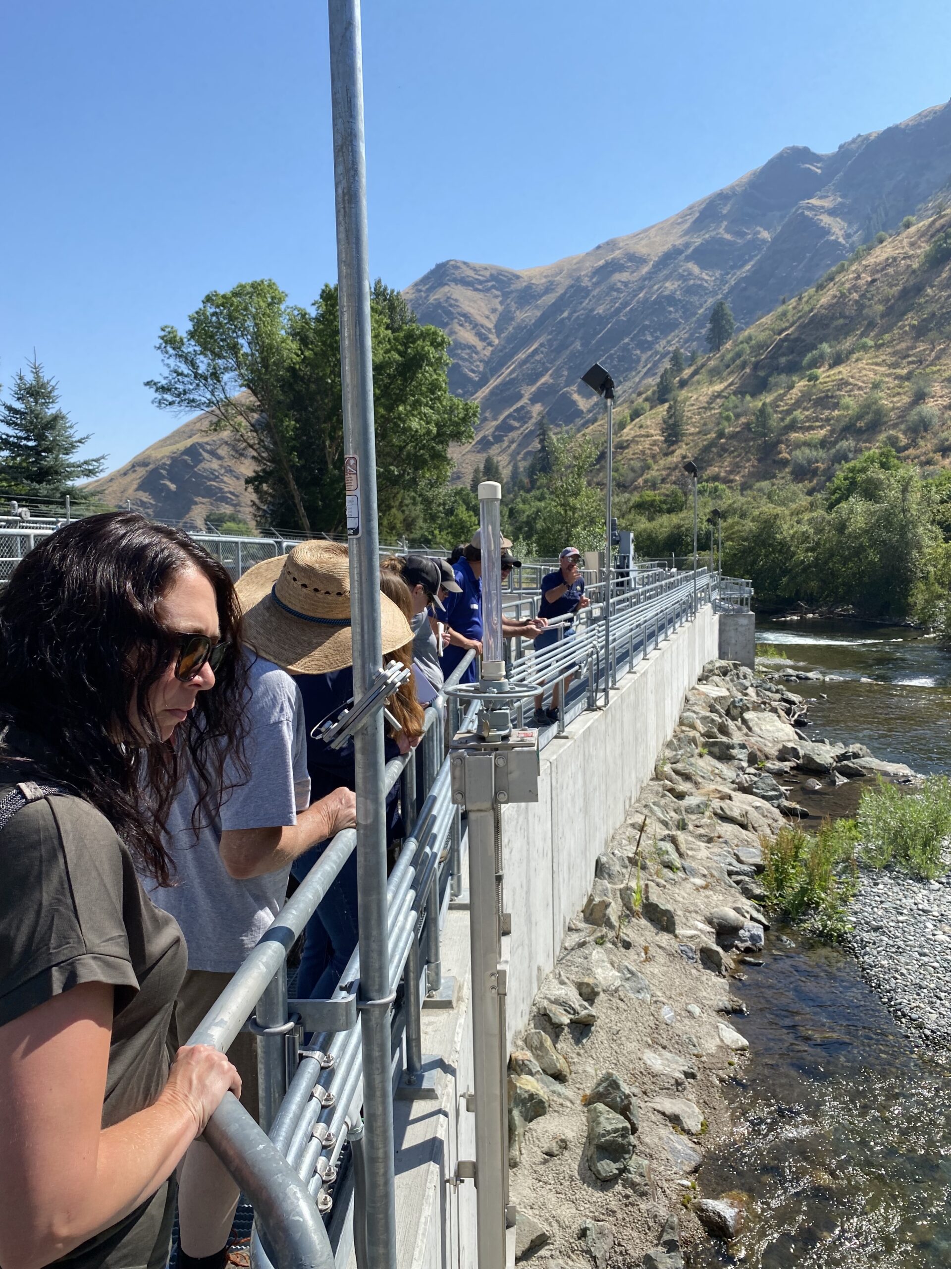 Gallery Little Salmon Watershed