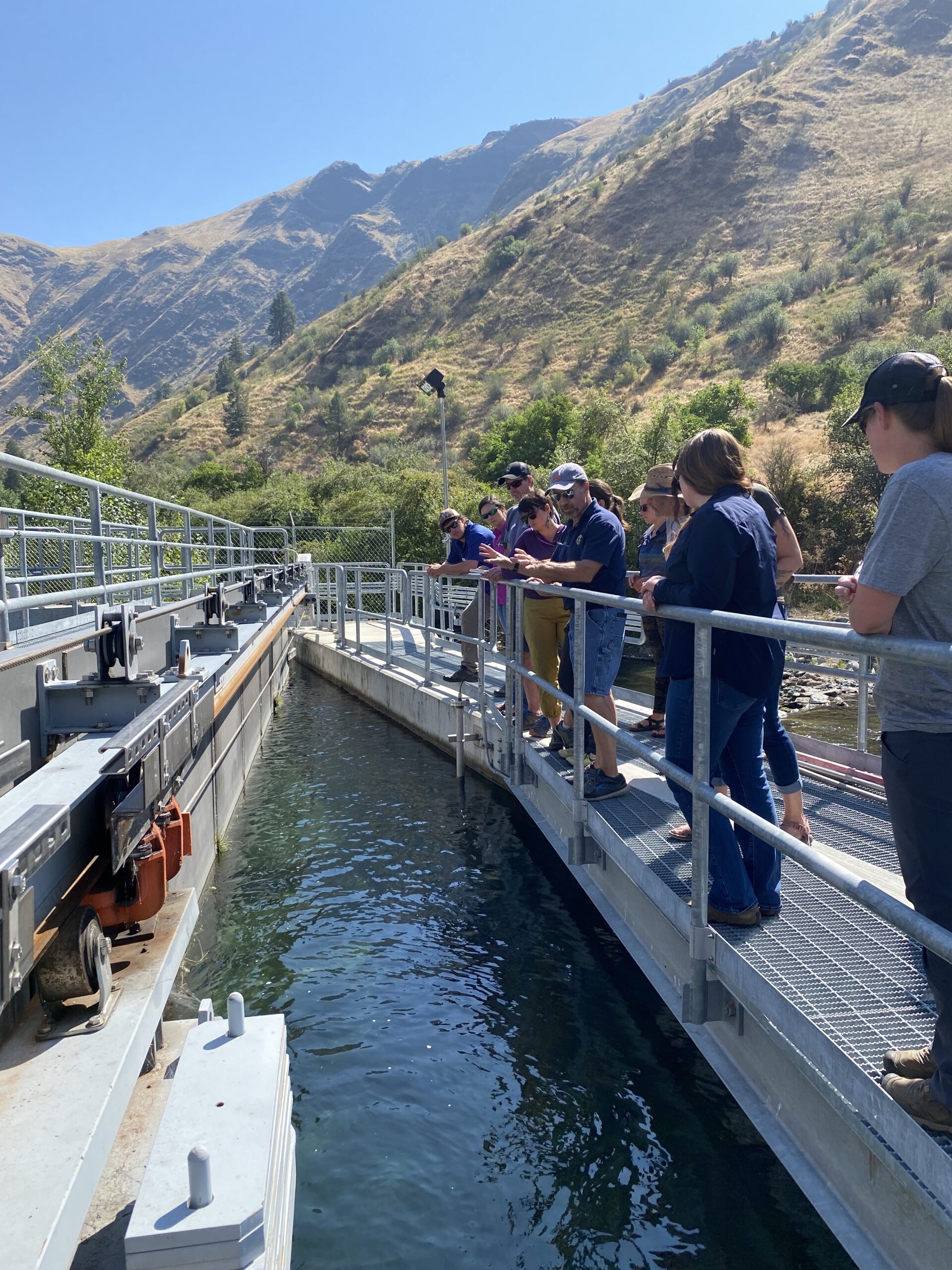 Gallery Little Salmon Watershed