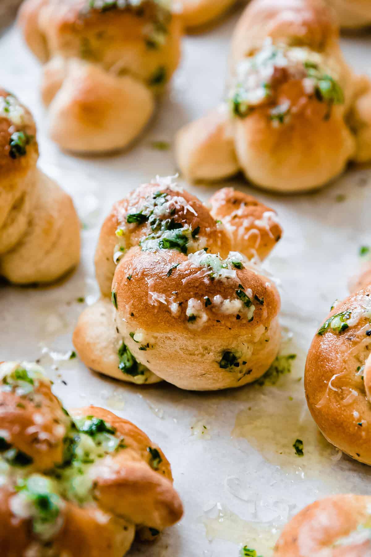 Herby Parmesan Garlic Knots Recipe Little Spice Jar