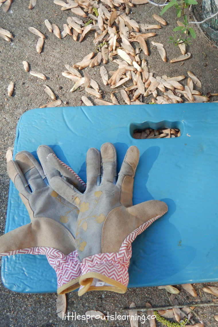 Essential Garden Tools