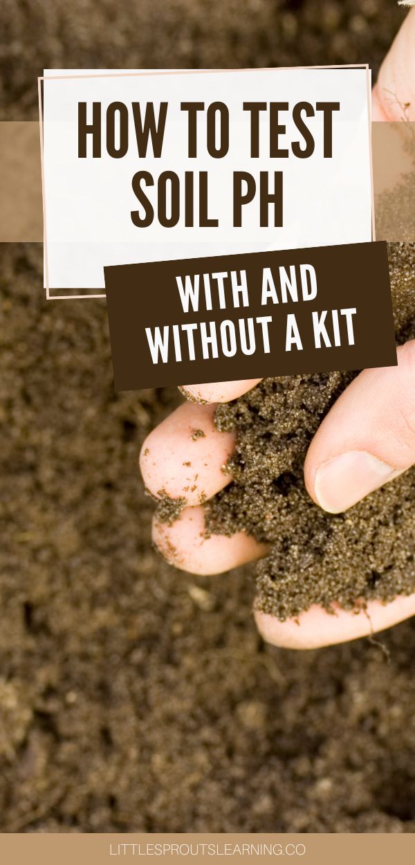How to Test Soil pH With and Without a KitLittle Sprouts Learning