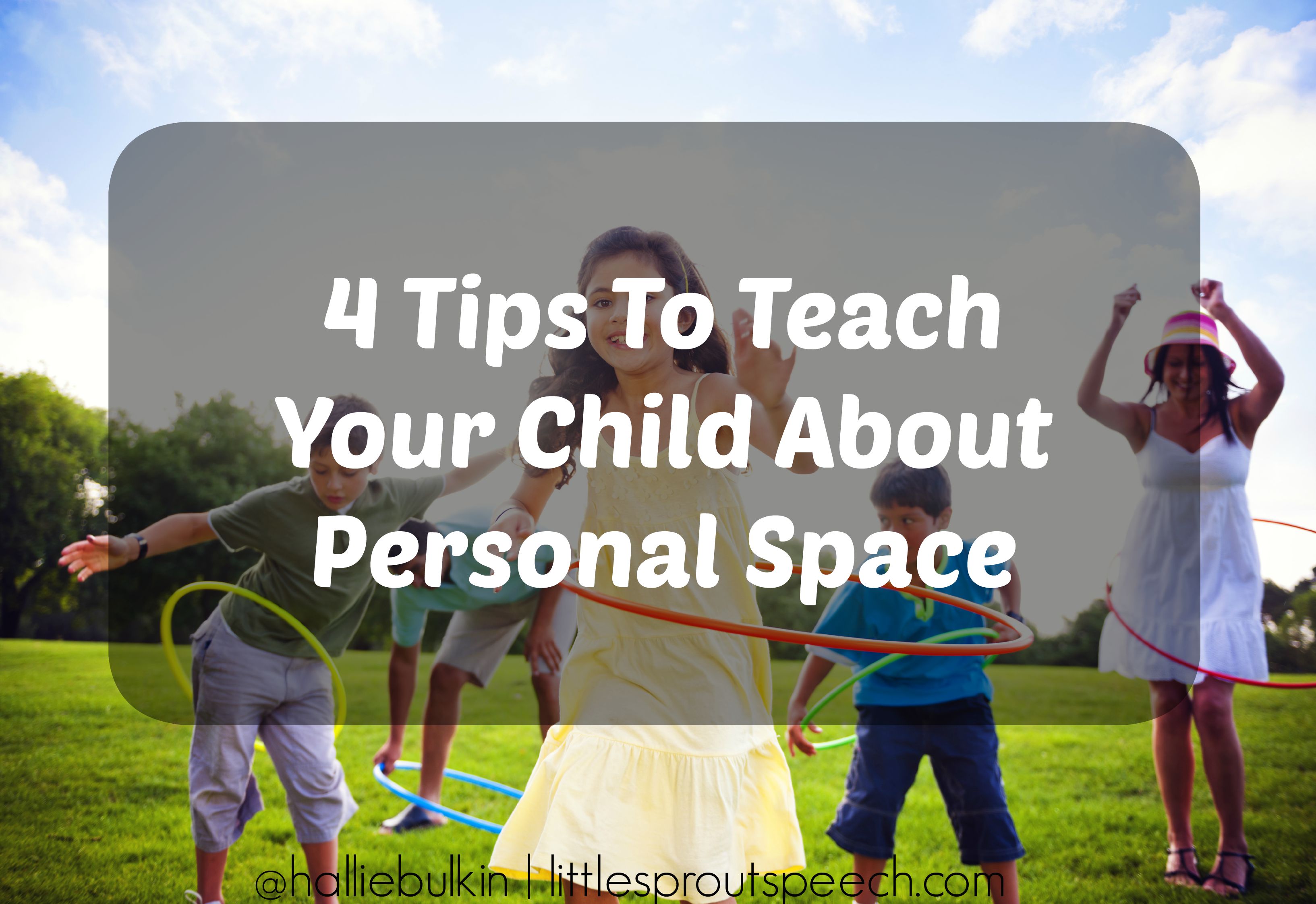 Teaching a Horse to Respect Personal Space Horse Illustrated
