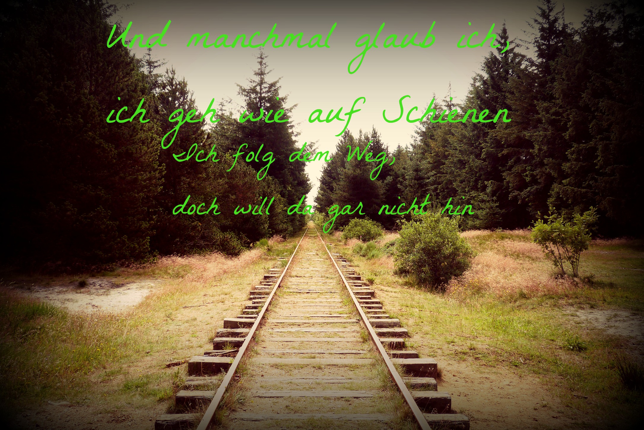 30 Tage 30 Songs Seite 3