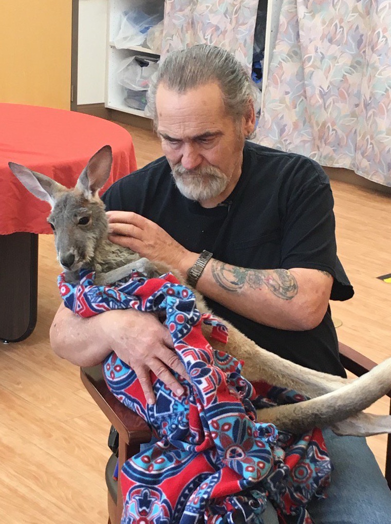 They Released A Baby Kangaroo In A Veterans Home. Why? Amazing...
