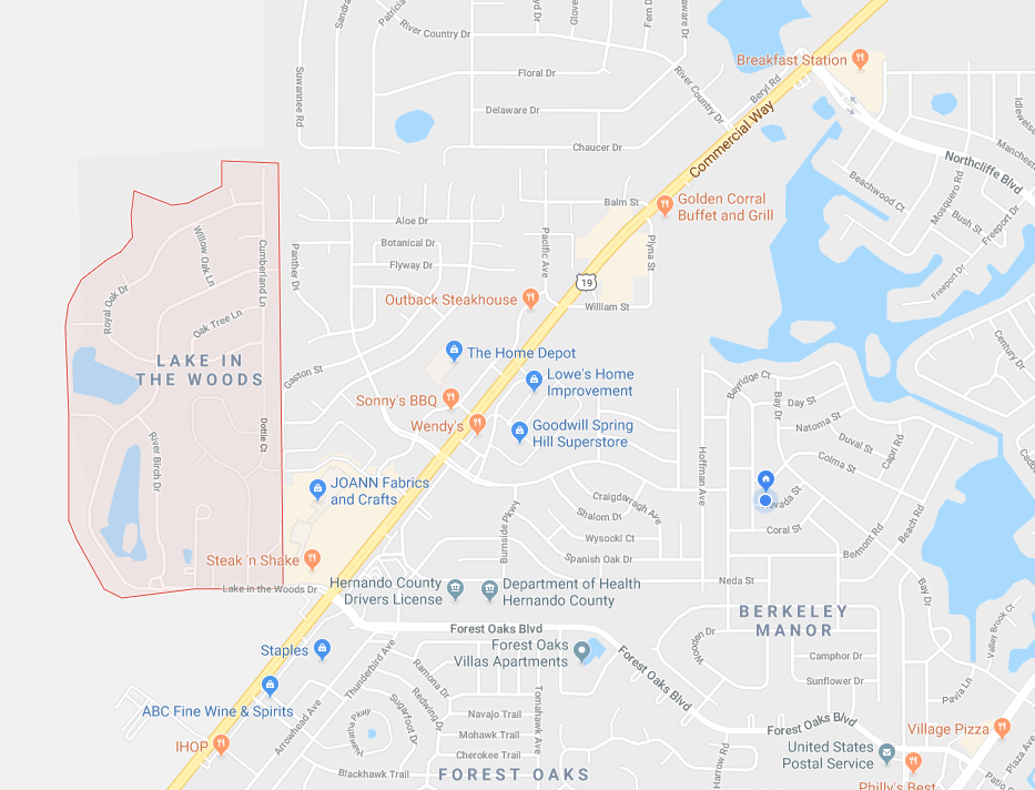 Token Access – Lake In The Woods