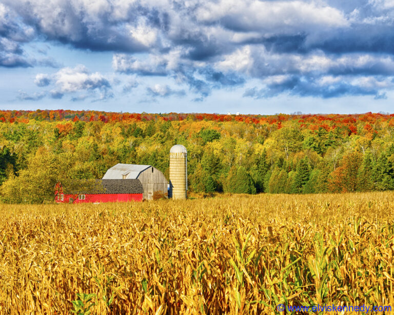 Best Places to Live in Wisconsin Livability