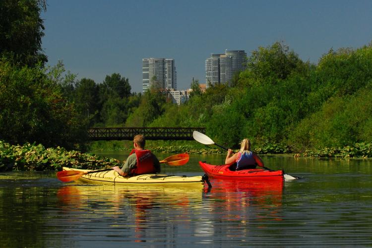 Why Bellevue, WA is a Top 100 Best Place to Live