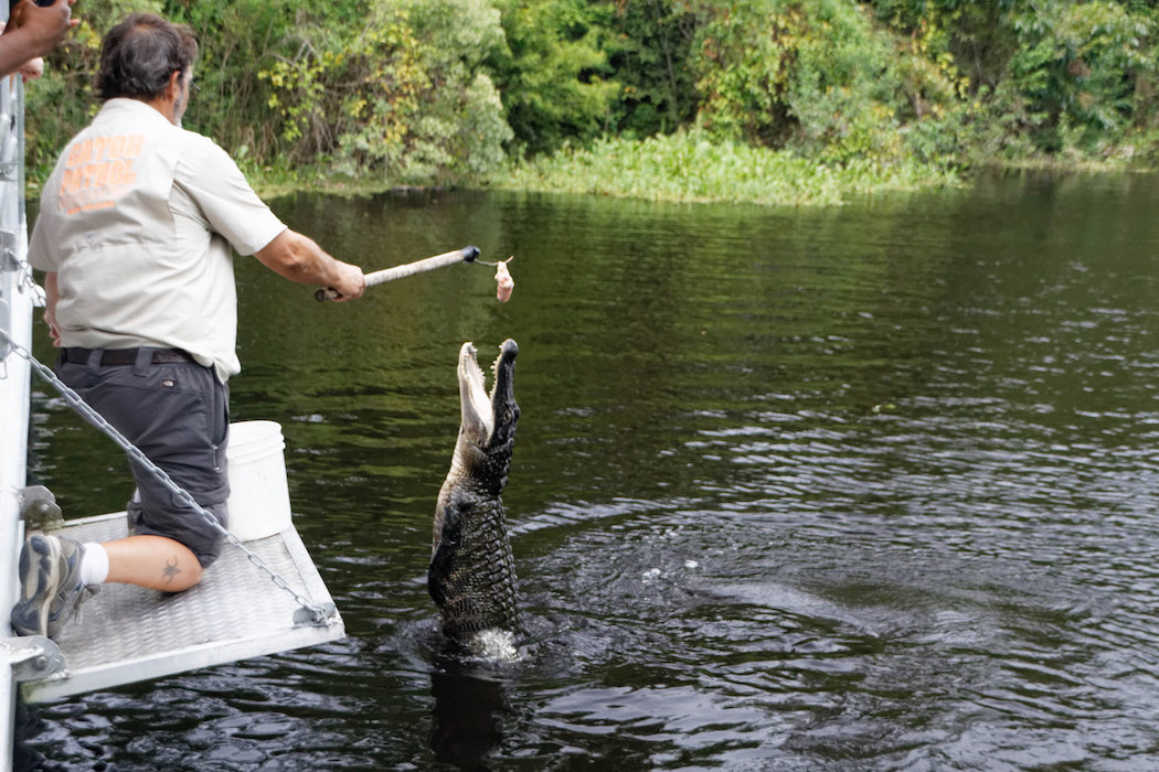 Moving to Laplace, LA Living in Laplace, LA