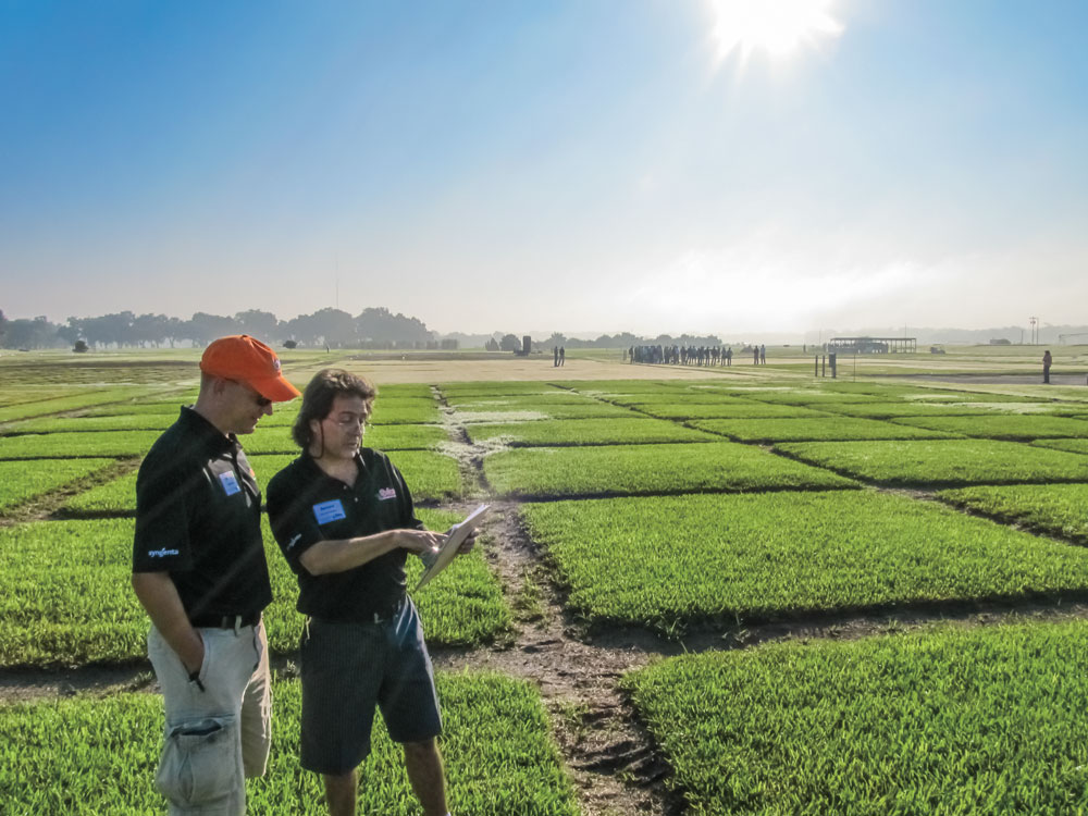 What You Should Know About Gainesville, FL's Agriscience Industry