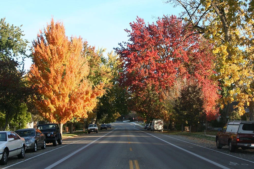 8 Reasons to Move to Boise Right Now