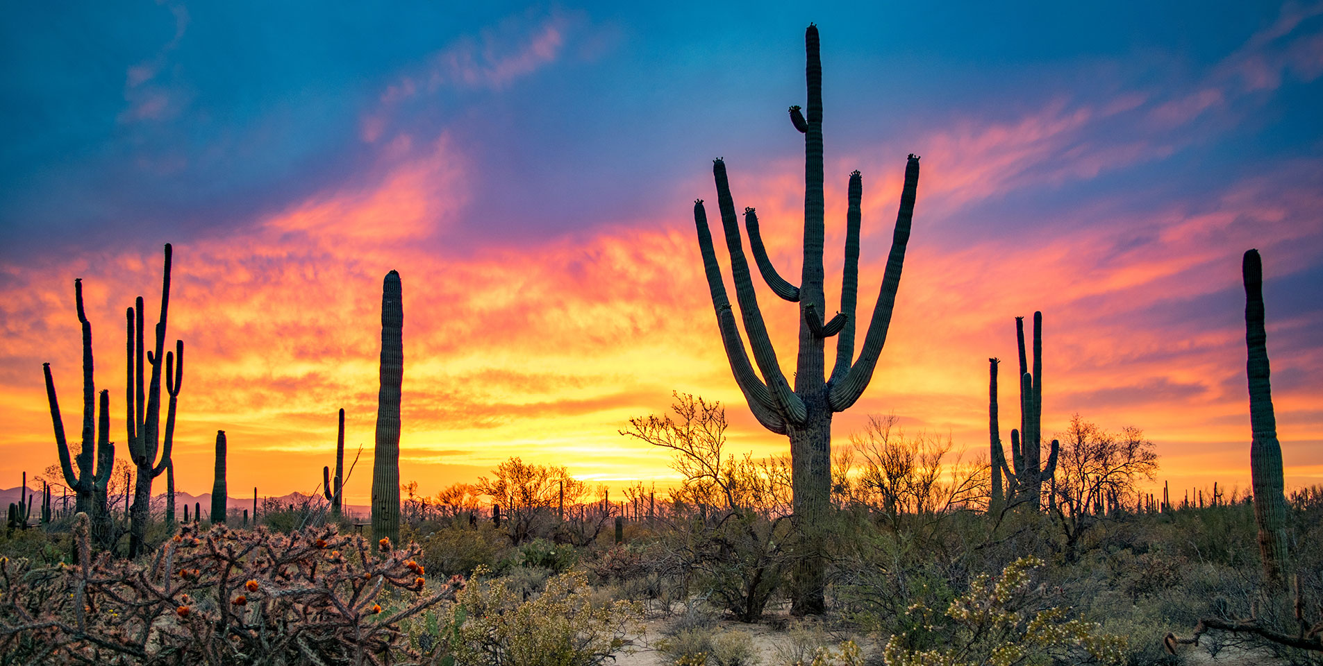 Moving to Arizona Living in Arizona