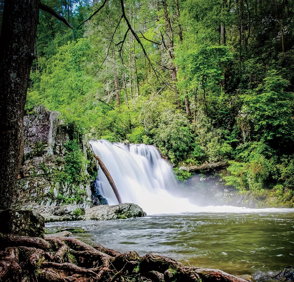 8 MustDo Outdoor Activities in Blount County The Outsiders