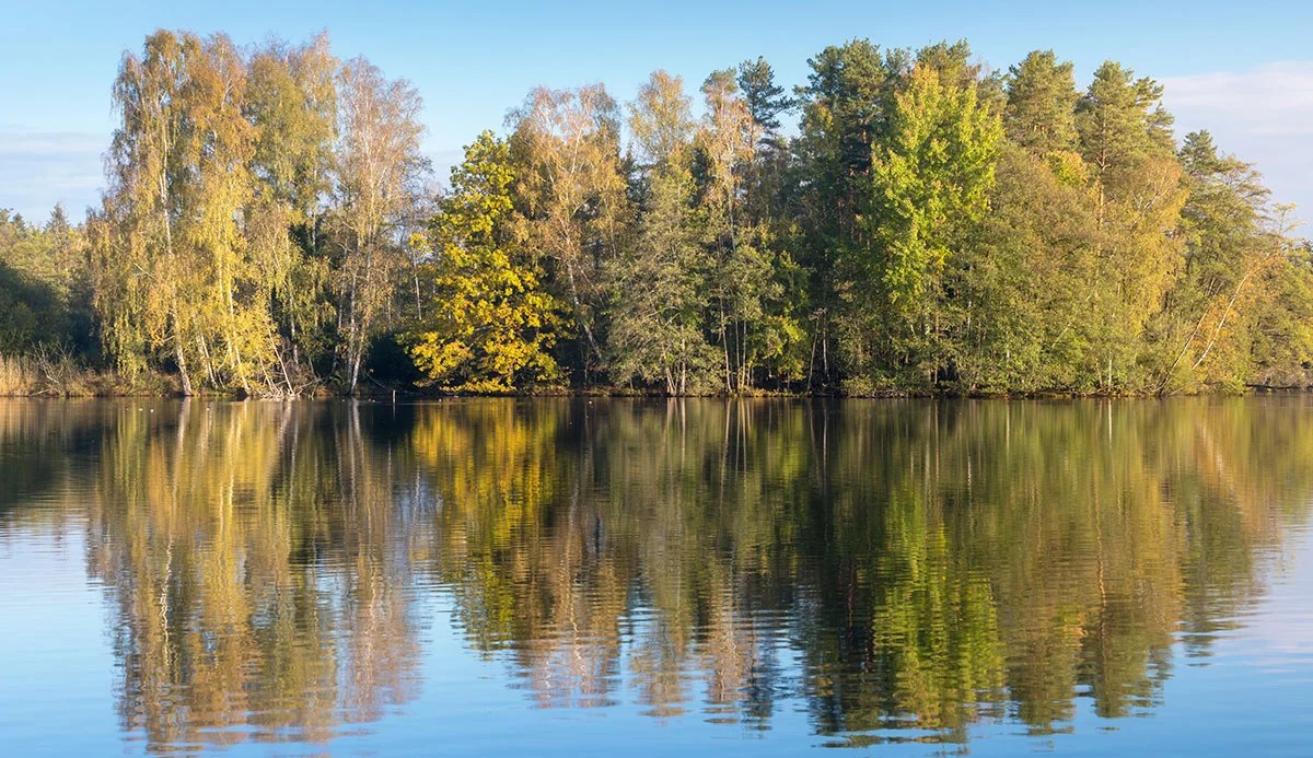 Moving to Friendsville, TN Living in Friendsville, TN