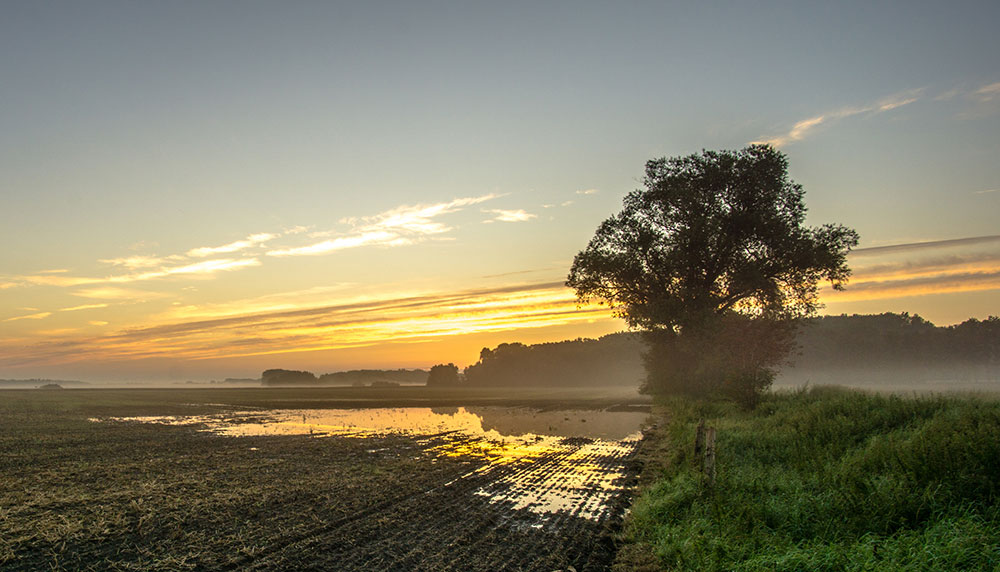 Moving to La Vista, NE Living in La Vista, NE