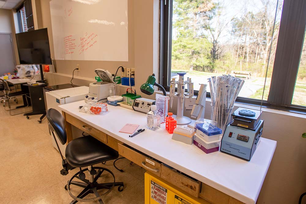 We’re Hiring 5 Industries in Knoxville, TN, That Are Growing