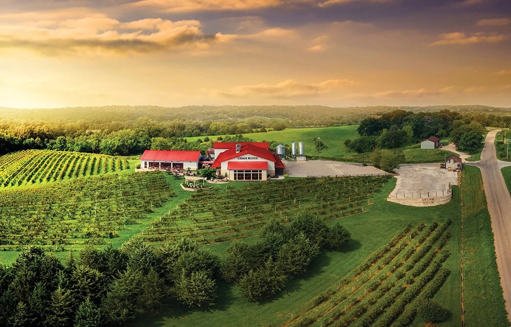 Why Do Cedar Rapids Businesses Thrive?